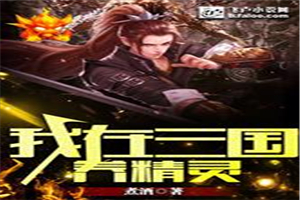 我在三国养精灵