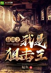 抗战我是狙击王