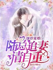 ʴ�ǳ�飺½��׷��������