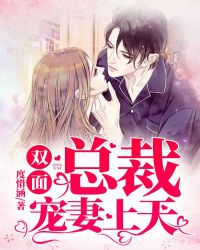 ˫���ܲó�������