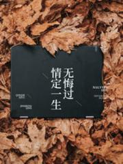 情定一生无悔过