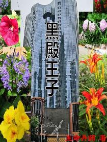 �ڵ�����