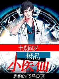 ʮ�����ޣ���ƷСҽ�ɣ����������Сҽ�ɣ�