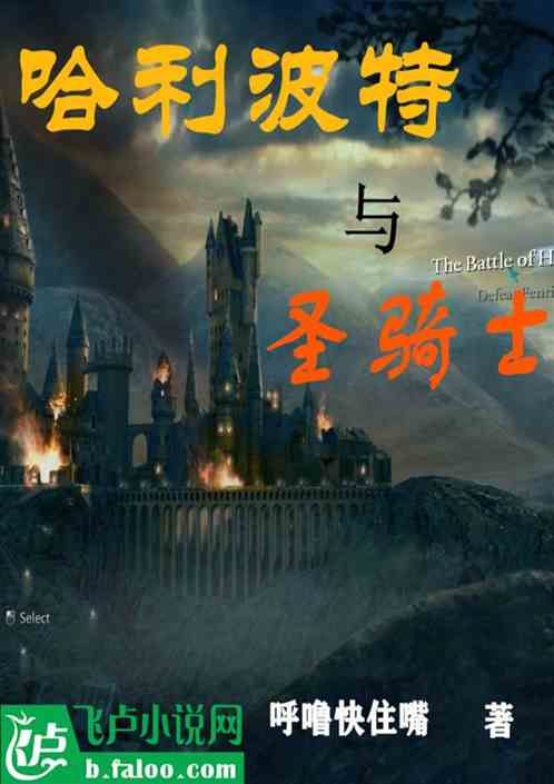 哈利波特与圣骑士