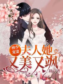 林少宠妻:夫人她又美又飒