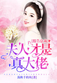 报告总裁:夫人才是真大佬