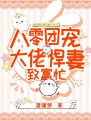 八零团宠:大佬悍妻致富忙