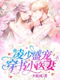 凌少盛宠:穿书小医妻