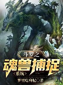 ���֮���޲�׽ϵͳ