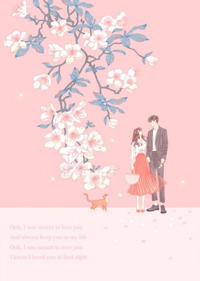 莫总,你前妻又跑了!沈夕岚莫景森