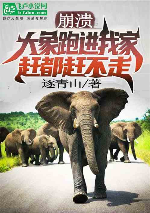 �����������ܽ��Ҽң��϶��ϲ���