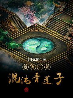 ����һ�Ż���������