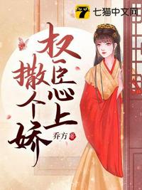 Ȩ������������