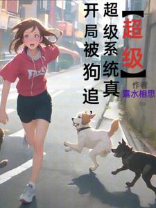 ���ֱ���׷������ϵͳ�桾������